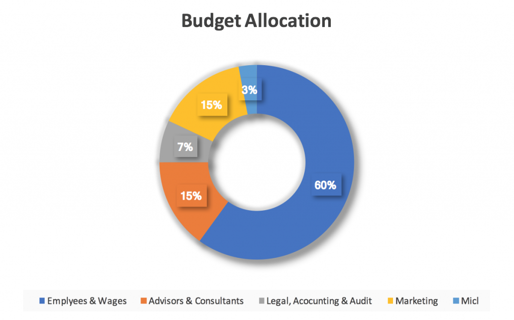 RefToken ICO Budget Allocation